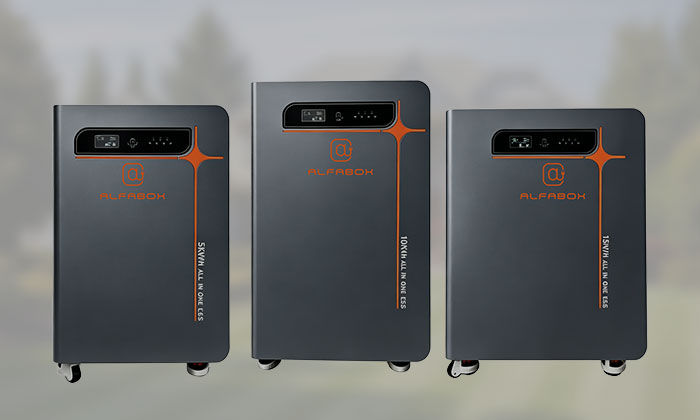 Integrated Inventer & Battery
